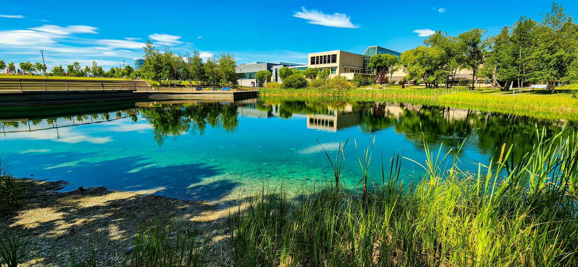 Image of MRU reconstructed wetland by Jerry Demorcy